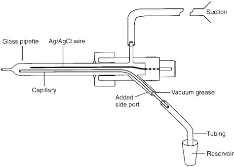 Perfusion of Patch Pipets 